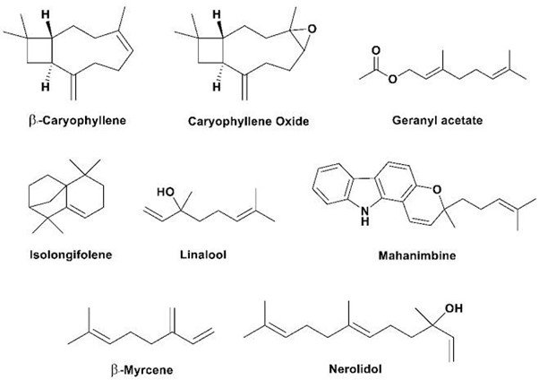 chemical Constituent